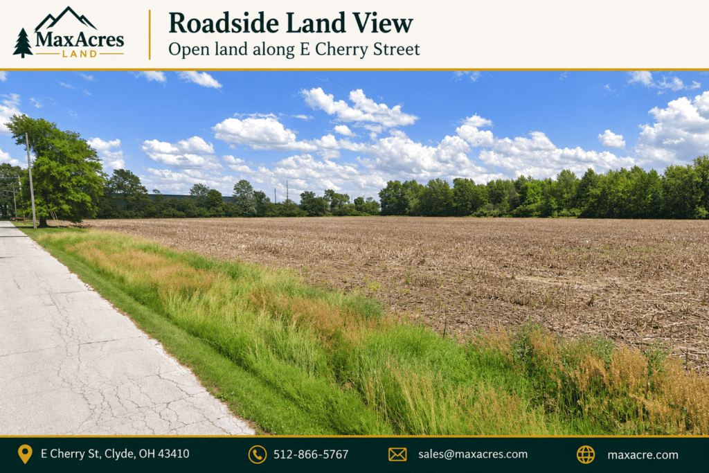 Roadside Land View — Open Property Listing